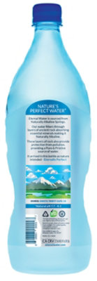 Eternal Spring Water Naturally Alkaline - 20.2 Fl. Oz. - Image 8