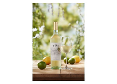 Barone Fini Pinot Grigio Valdadige Wine - 750  Ml - Image 3