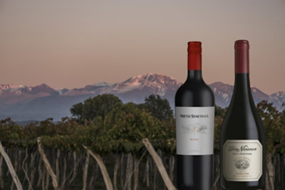 Nieto Luyan de Cujo Malbec Wine - 750 Ml - Image 2