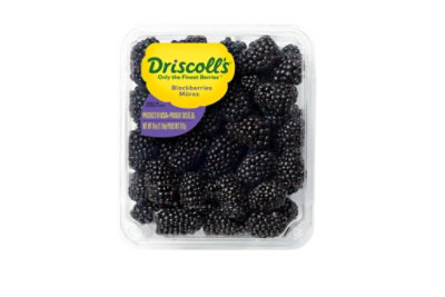 Blackberries Prepacked Fresh - 18 Oz - Image 1