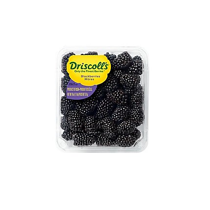Blackberries Prepacked Fresh - 18 Oz - Image 1