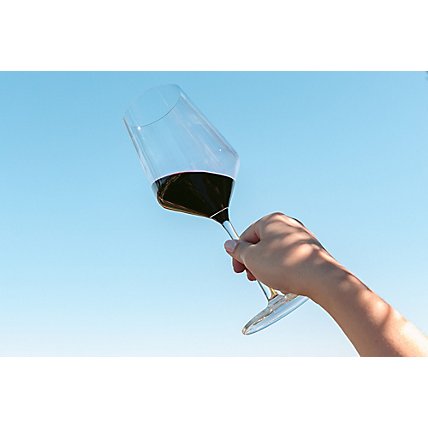 Daou Wine Cabernet Sauvignon Paso Robles - 750 Ml - Image 3