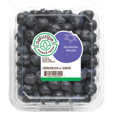 Blueberries Prepacked - 1 Pint - Image 3