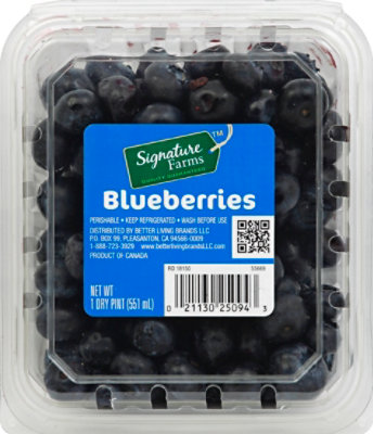 Blueberries Prepacked - 1 Pint - Image 1