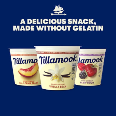 Tillamook Berry Patch Low Fat Yogurt - 6 Oz - Image 4