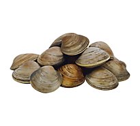 Seafood Service Counter Clam Littleneck New Zealand Live - 1.50 Lbs.