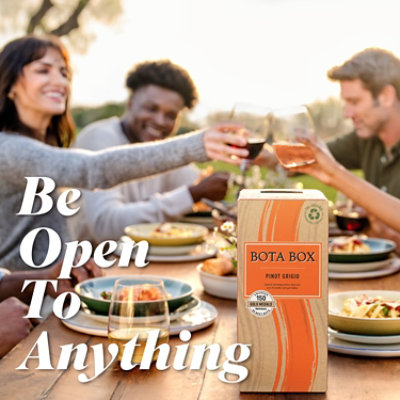 Bota Mini Wine Pinot Grigio California - 500 Ml - Image 4