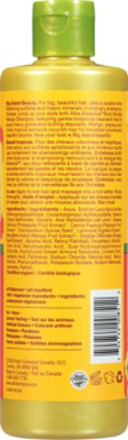 Alba Botanica Mango Body Builder Shampoo - 12 Fl. Oz. - Image 5