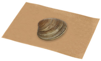 undefined - Image 1