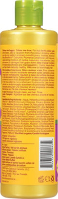 Alba Botanica Plumeria Colorific Hair Conditioner - 12 Fl. Oz. - Image 5