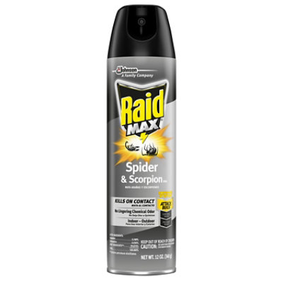 Raid Max Indoor & Outdoor Spider & Scorpion Killer Spray - 12 Oz - Image 1