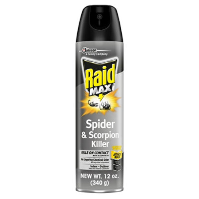 Raid Max Indoor & Outdoor Spider & Scorpion Killer Spray - 12 Oz - Image 2