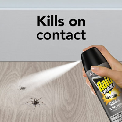 Raid Max Indoor & Outdoor Spider & Scorpion Killer Spray - 12 Oz - Image 3