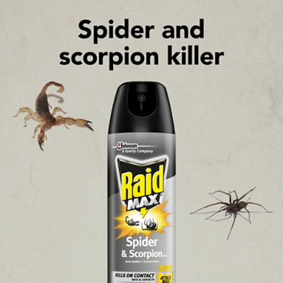 Raid Max Indoor & Outdoor Spider & Scorpion Killer Spray - 12 Oz - Image 4