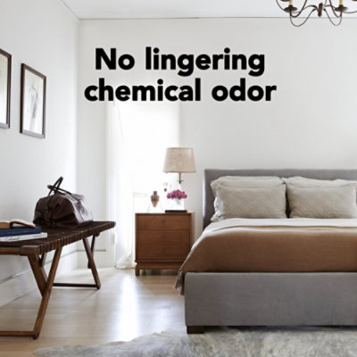 Raid Max Indoor & Outdoor Spider & Scorpion Killer Spray - 12 Oz - Image 5