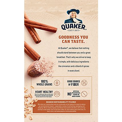 Quaker Oatmeal Instant Cinnamon & Spice - 10-1.51 Oz - Image 6
