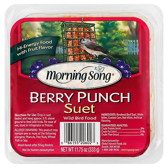 Morning Song Suet Wild Bird Food Berry Punch Tray - 11.75 Oz