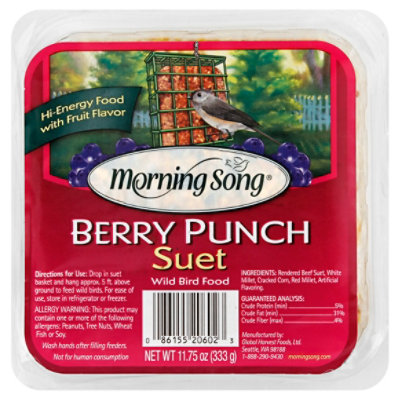 Morning Song Suet Wild Bird Food Berry Punch Tray - 11.75 Oz