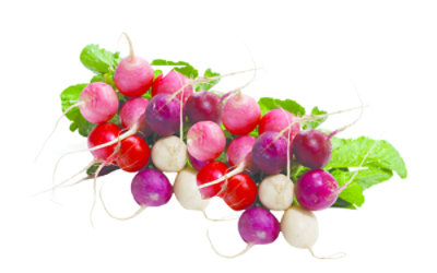 Egg Easter Radishes - 1 Bunch - Image 1