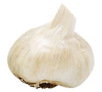 Garlic Onions Long Stem