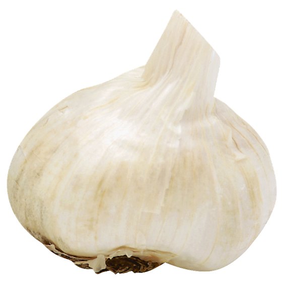 Garlic Onions Long Stem