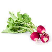 Sparkler Radish - Image 1
