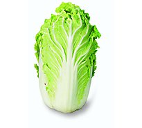 Organic Napa Cabbage Napa