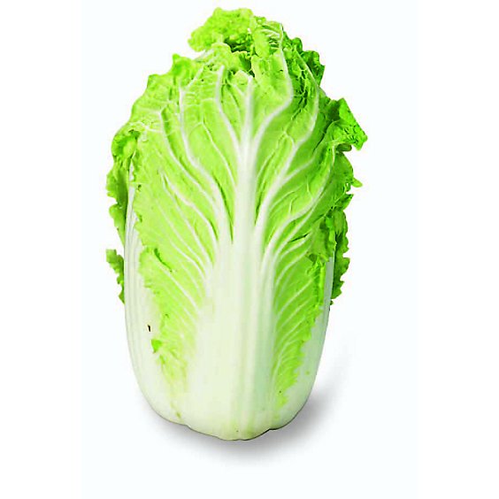 Cabbage Napa Organic