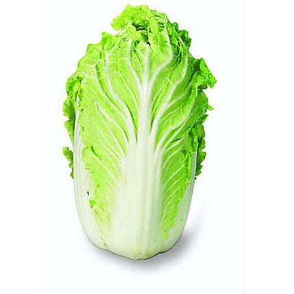 Cabbage Napa Organic - Image 1