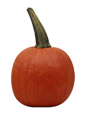 Red Kuri Squash - Image 1