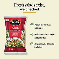 Taylor Farms Asian Chopped Salad Kit Bag - 13 OZ - Image 4