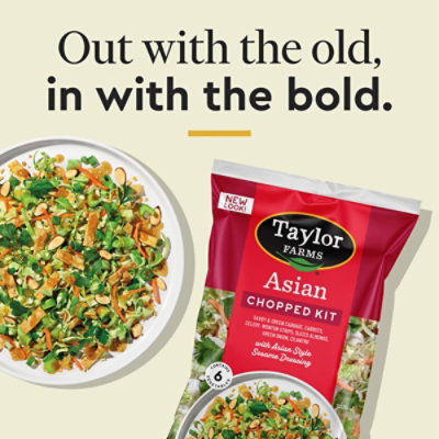 Taylor Farms Asian Chopped Salad Kit Bag - 13 OZ - Image 6