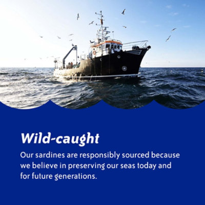 Chicken of the Sea Wild Caught Sardines in Water - 3.75 Oz - Image 6