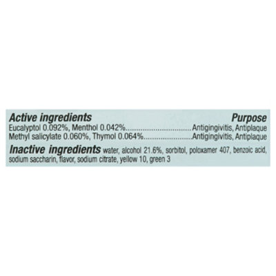 Signature Select/Care Mouthwash Antiseptic Spring Mint - 16.9 Fl. Oz. - Image 3
