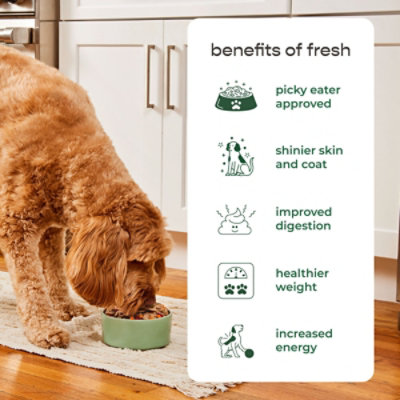 Freshpet Healthy and Natural Dog Food Fresh Chicken Recipe - 1.75 Lb - Image 6