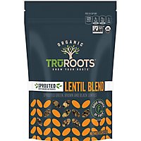truRoots Organic Accents Lentil Sprouted Trio - 8 Oz - Image 1