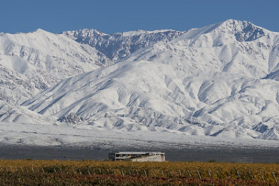 Clos De Los Siete Red - 750 Ml - Image 3
