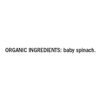 organicgirl Organic Baby Spinach Washed - 5 Oz - Image 4