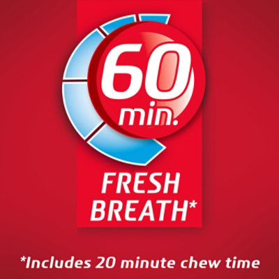 Dentyne Fire Gum Sugar Free Spicy Cinnamon Pack - 3-16 Count - Image 5