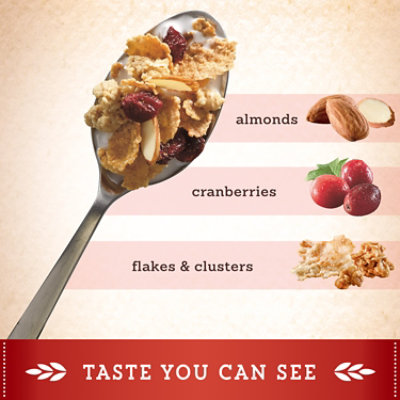 Post Great Grains Cranberry Almond Crunch Whole Grain Breakfast Cereal - 14 Oz - Image 3