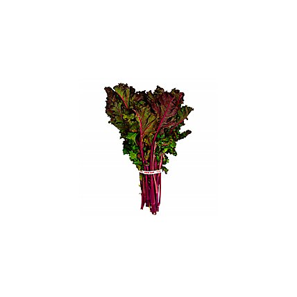 Kale Red Organic - 1 Bunch - Image 1