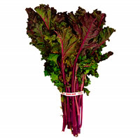Kale Red Organic - 1 Bunch