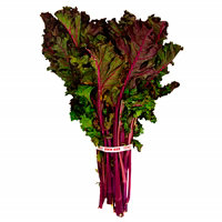 Kale Red Organic - 1 Bunch - Image 1