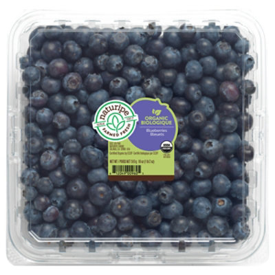 Organic Blueberries Prepacked - 18 Oz - Image 1