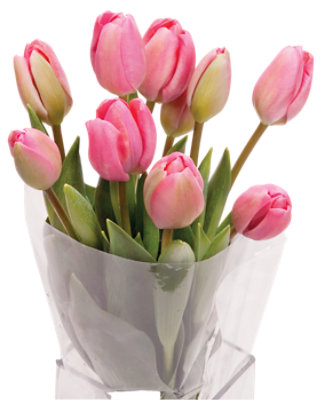 10 Stem Cut Tulips - Each