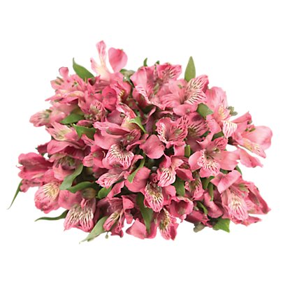 Alstroemeria - 9 Count Colors May Vary - Image 1