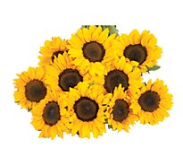 Tinted Sunflower - 5 Count
