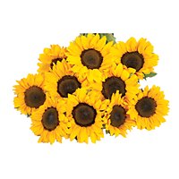 Tinted Sunflower - 5 Count - Image 1