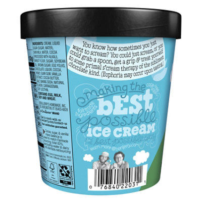 Ben & Jerry's Ice Cream Chocolate Therapy - 16 Oz - Image 5