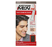 Just For Men AutoStop Haircolor Foolproof Real Black A-55 - Each